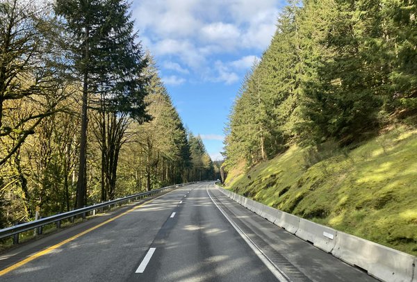 Suzuki Bandit : Un classique indémodable